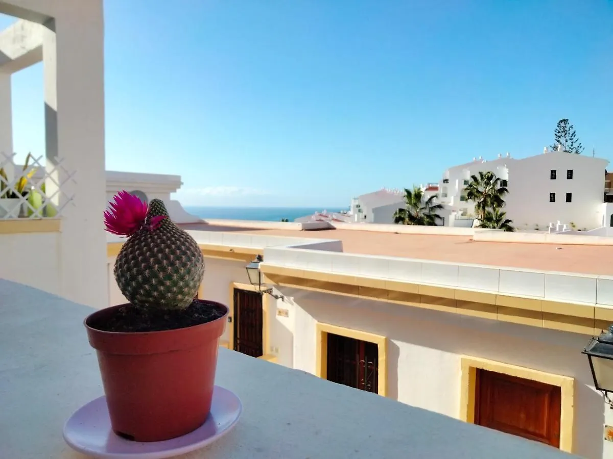 Windsor Park Atlantic View Apartment Costa Adeje  0*, Costa Adeje (Tenerife) Spain